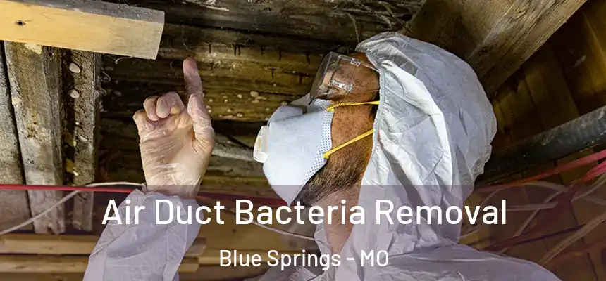  Air Duct Bacteria Removal Blue Springs - MO