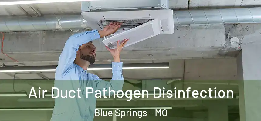  Air Duct Pathogen Disinfection Blue Springs - MO