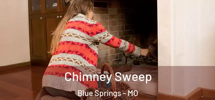 Chimney Sweep Blue Springs - MO