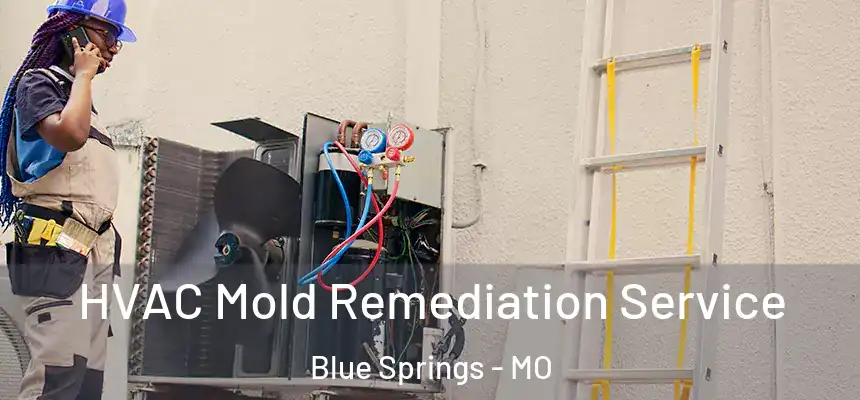  HVAC Mold Remediation Service Blue Springs - MO