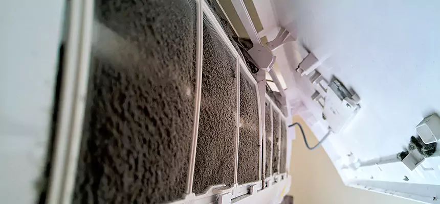 Preventive Air Duct Bacteria Removal in Blue Springs