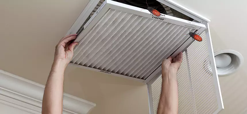 Preventive Cockroach-Proofing for Ducts in Blue Springs