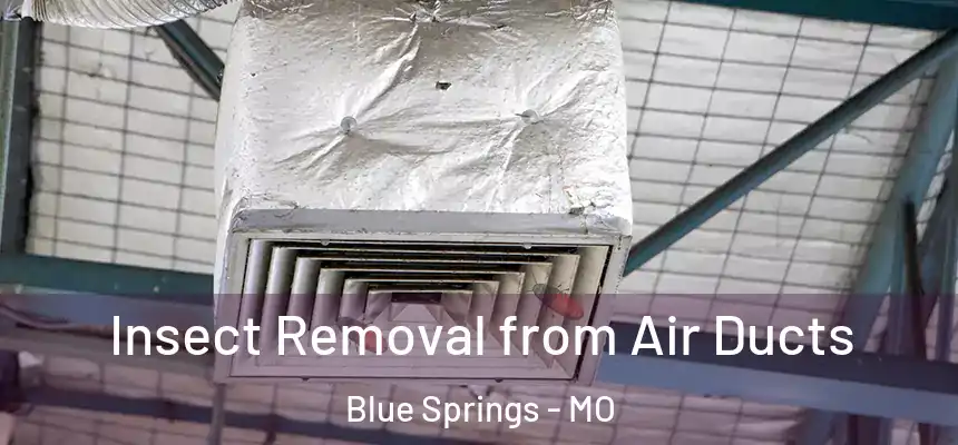 Insect Removal from Air Ducts Blue Springs - MO