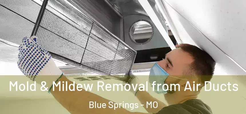  Mold & Mildew Removal from Air Ducts Blue Springs - MO
