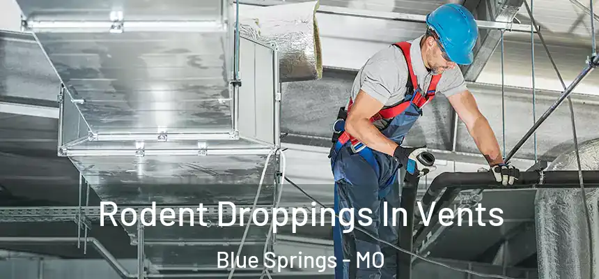 Rodent Droppings In Vents Blue Springs - MO