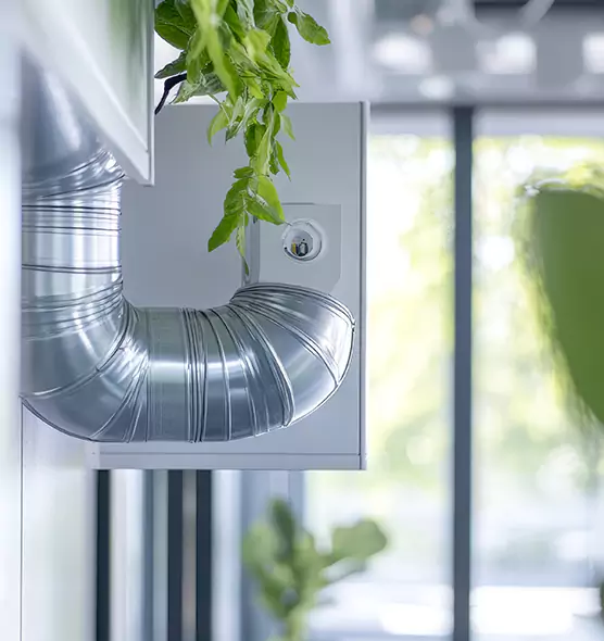 Professional Eco-Friendly Duct Cleaning Services in Blue Springs, MO