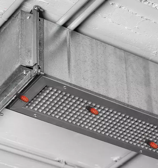 Affordable Insect Removal from Air Ducts in Blue Springs, MO