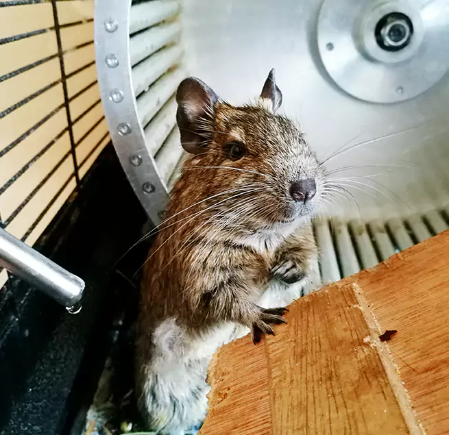 Why Homeowners & Businesses Trust Us Blue Springs, MO