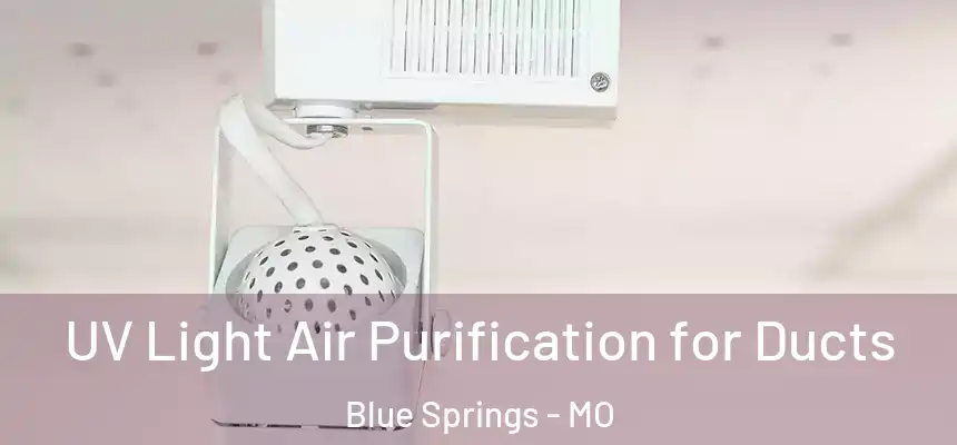  UV Light Air Purification for Ducts Blue Springs - MO