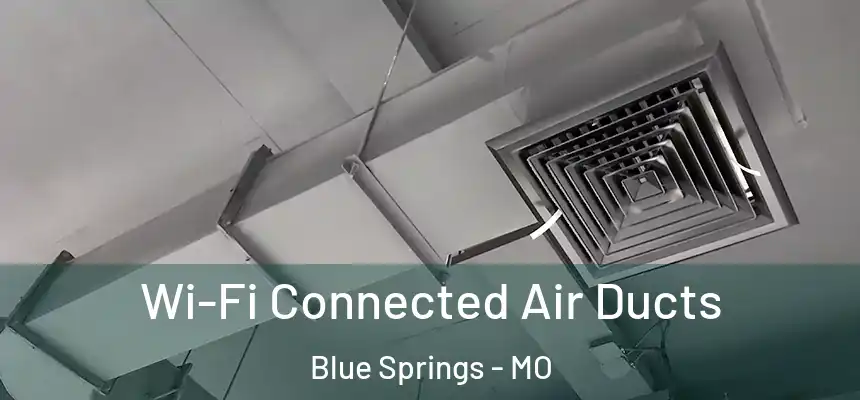 Wi-Fi Connected Air Ducts Blue Springs - MO